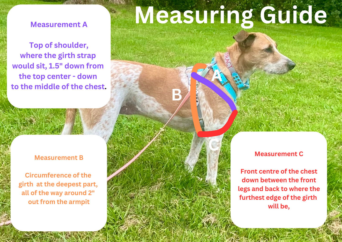 Y-Front Harness - Assistance Dog Service Dog