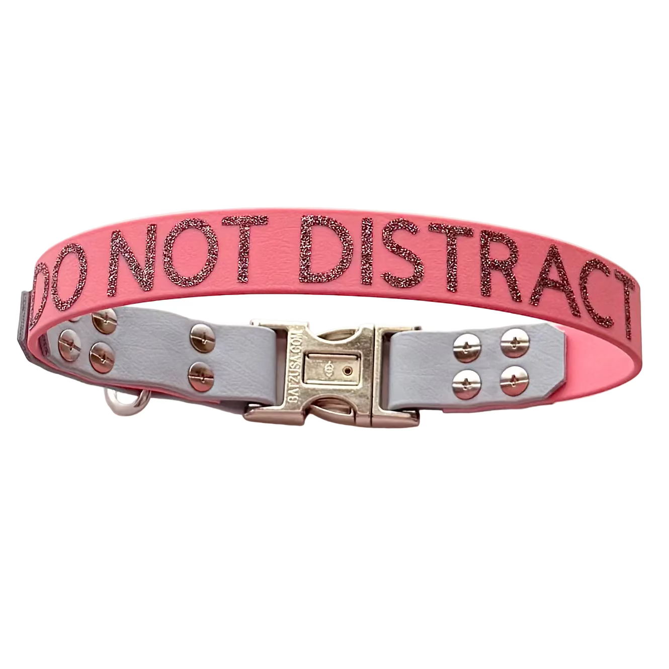43cm - Do Not Distract - Assistance Dog Collar - Ready to Ship