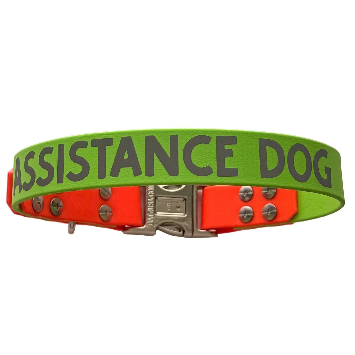 44cm - Assistance Dog Collar - Ready to Ship