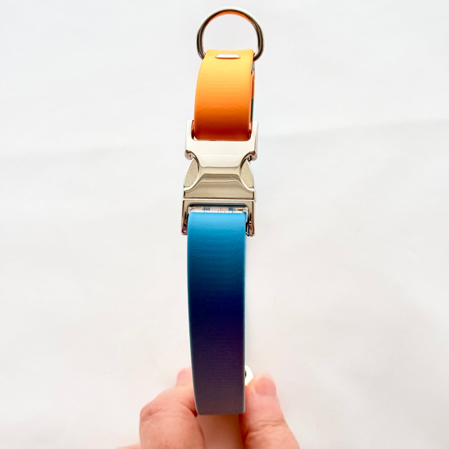 34cm - 49cm - Adjustable BioThane® Dog Collar - Ready to Ship