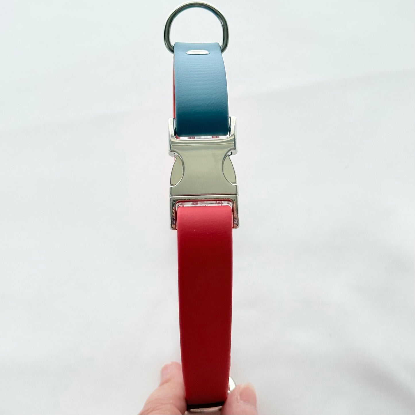 34cm - 49cm - Adjustable BioThane® Dog Collar - Ready to Ship