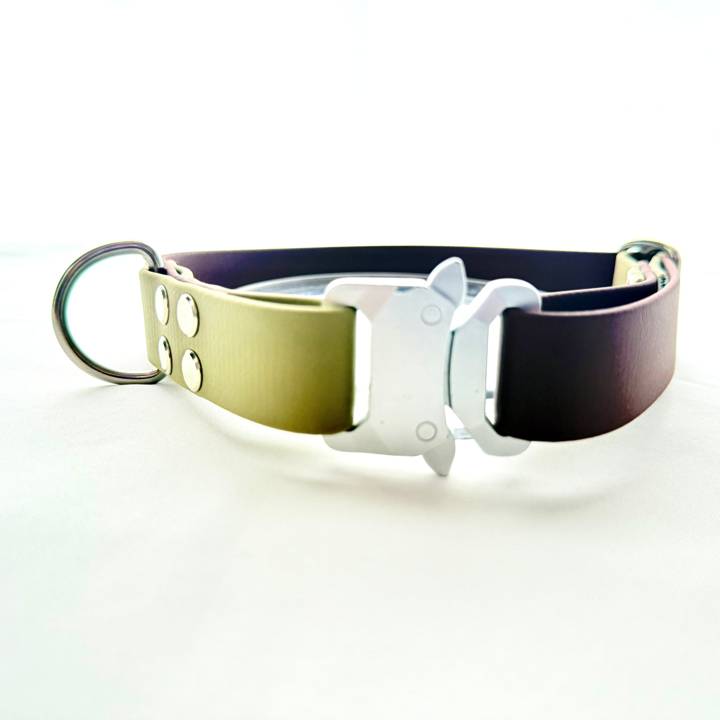 32.5cm - 48cm - Slight Damage/SALE - Adjustable BioThane® Dog Collar - Ready to Ship