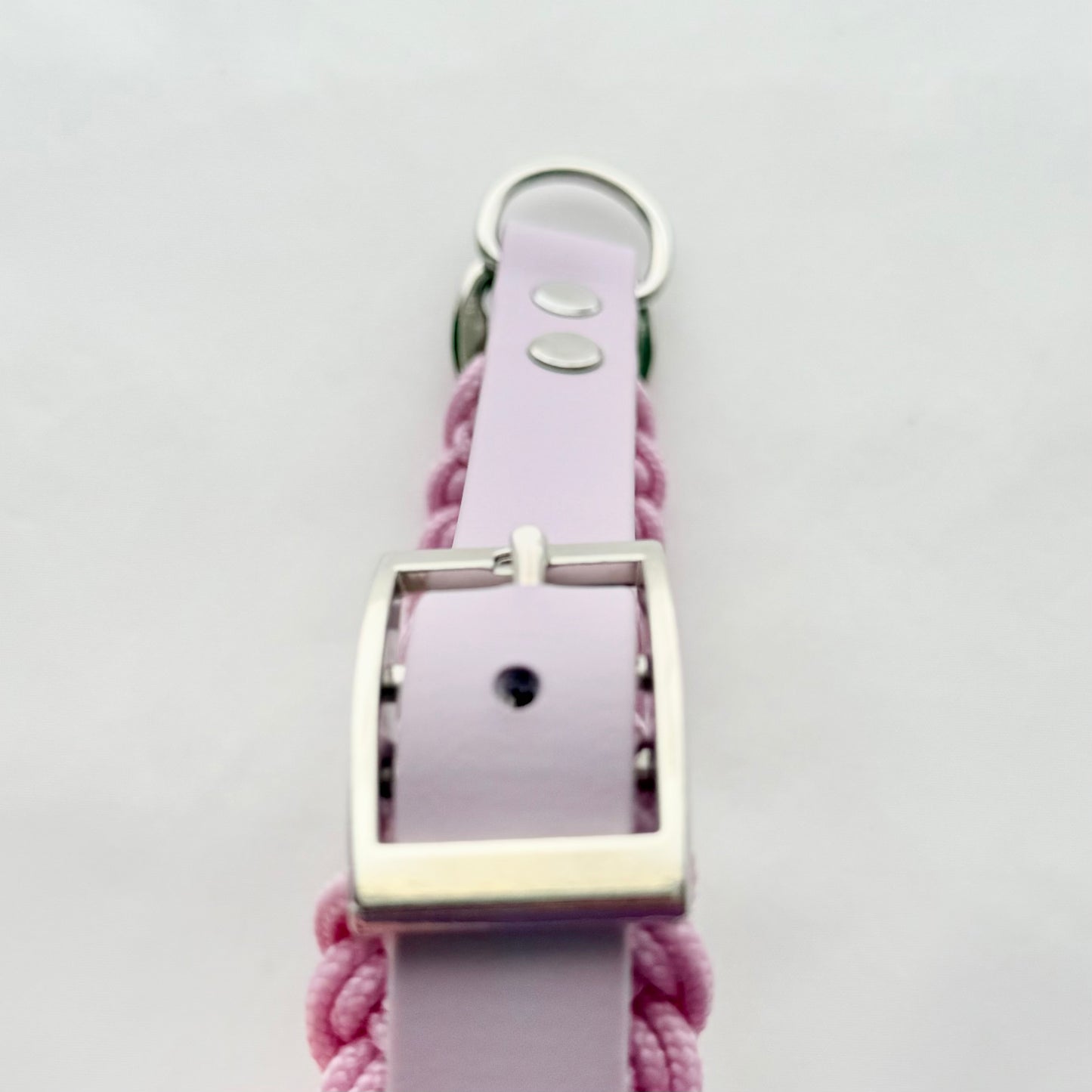32.5cm - 38cm - Paracord Dog Collar - Ready to Ship