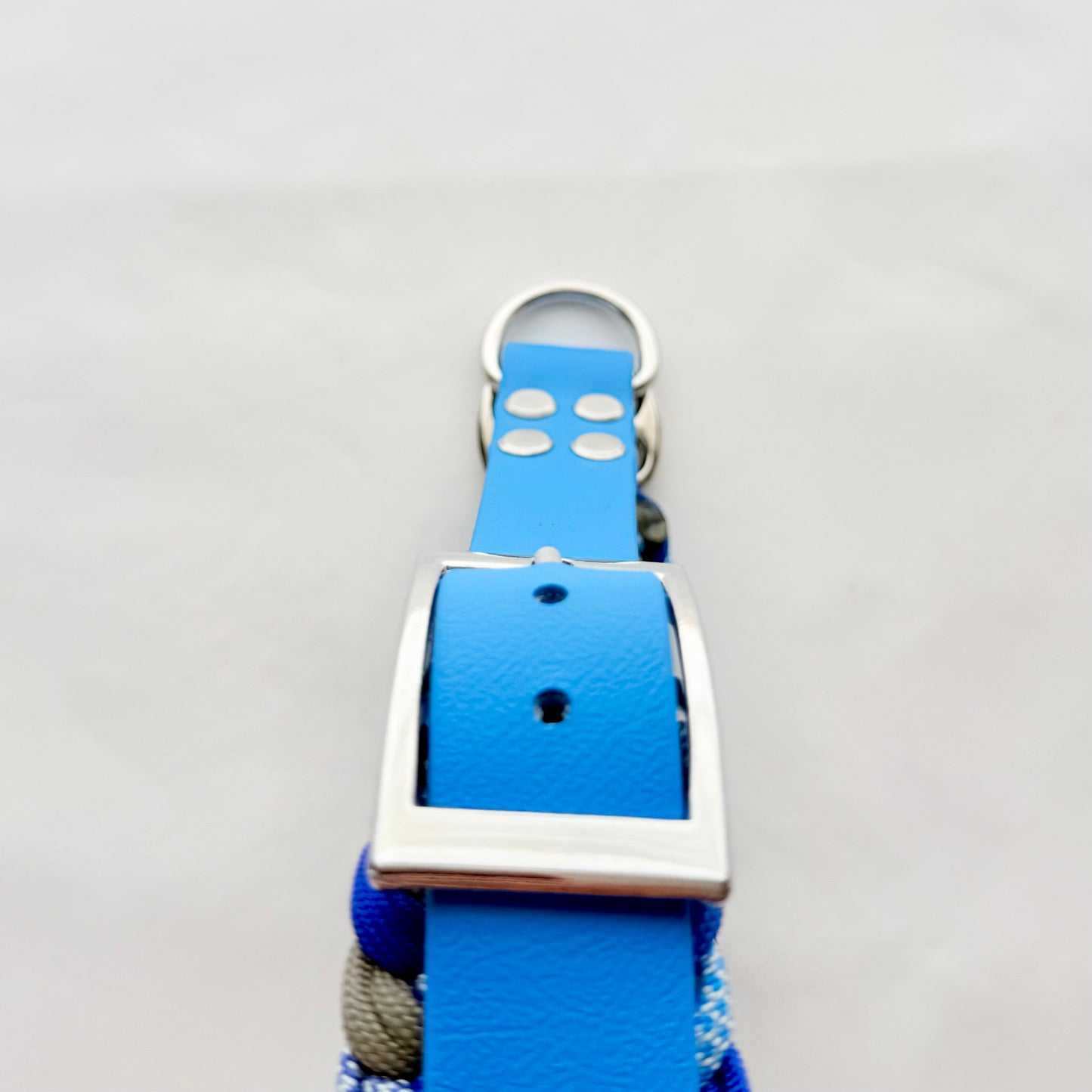 40.5cm - 46cm - Paracord Dog Collar - Ready to Ship