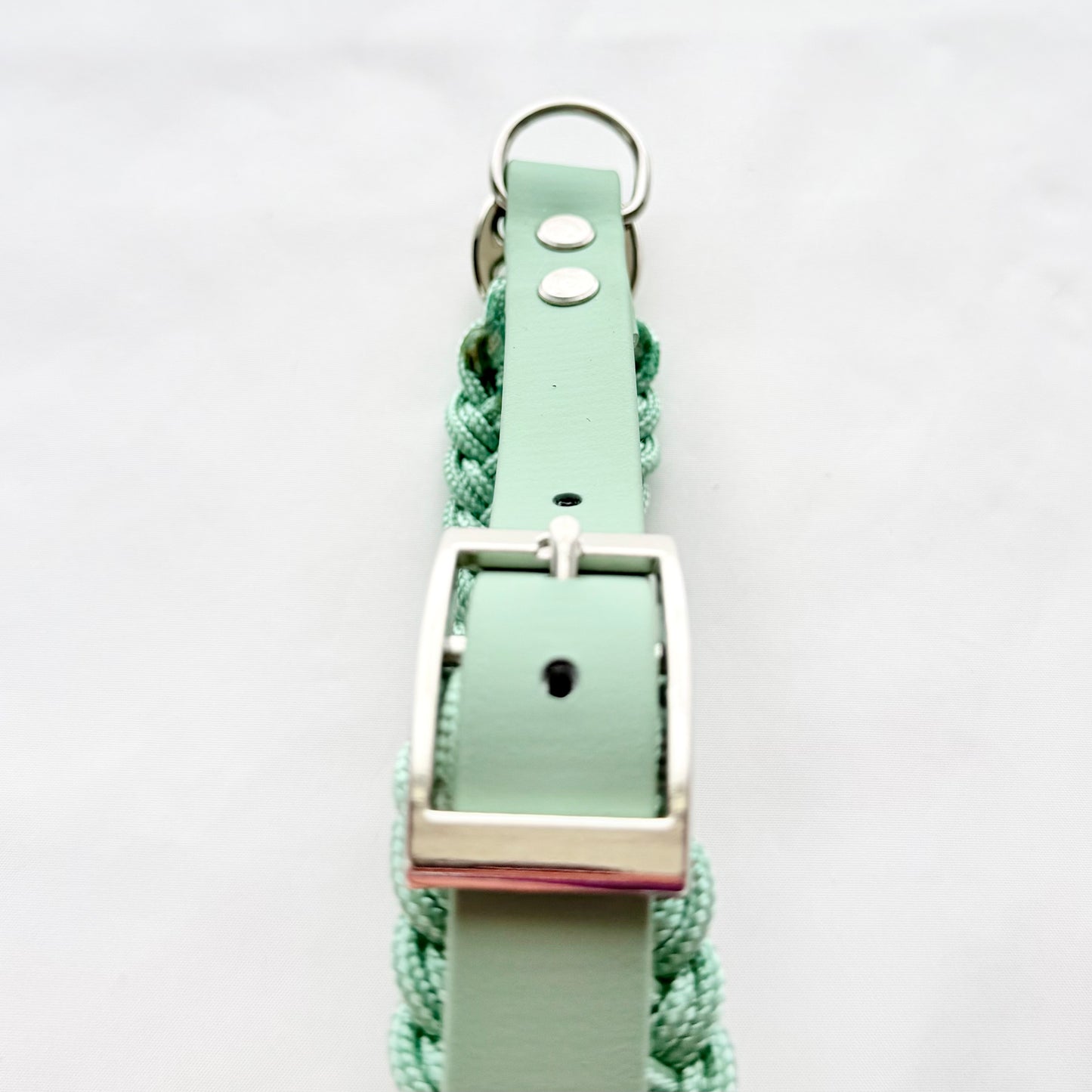 32.5cm - 38cm - Paracord Dog Collar - Ready to Ship
