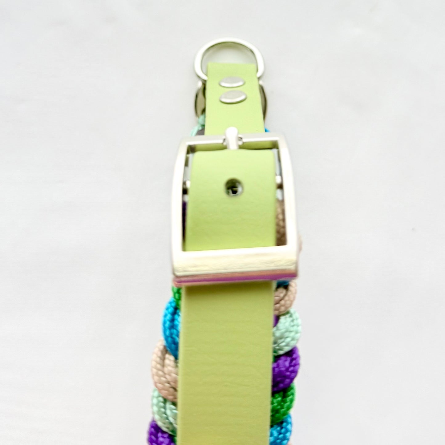 32.5cm - 38cm - Paracord Dog Collar - Ready to Ship