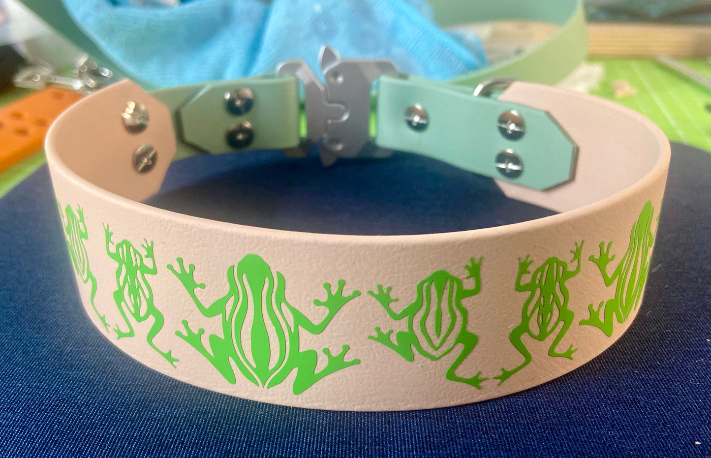 Hound Collar - Ready to Ship - BioThane® Coated Webbing