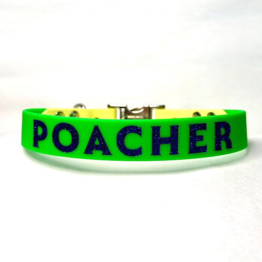 Made to Measure - Personalised Collar - BioThane® Coated Webbing