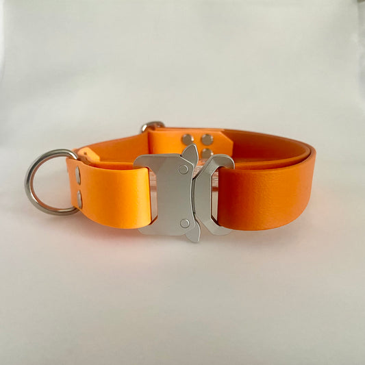 1" BioThane® Coated Webbing Adjustable Dog Collar