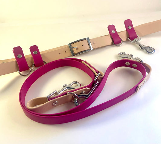 The Walking Stick Compatible Dog Walking Set