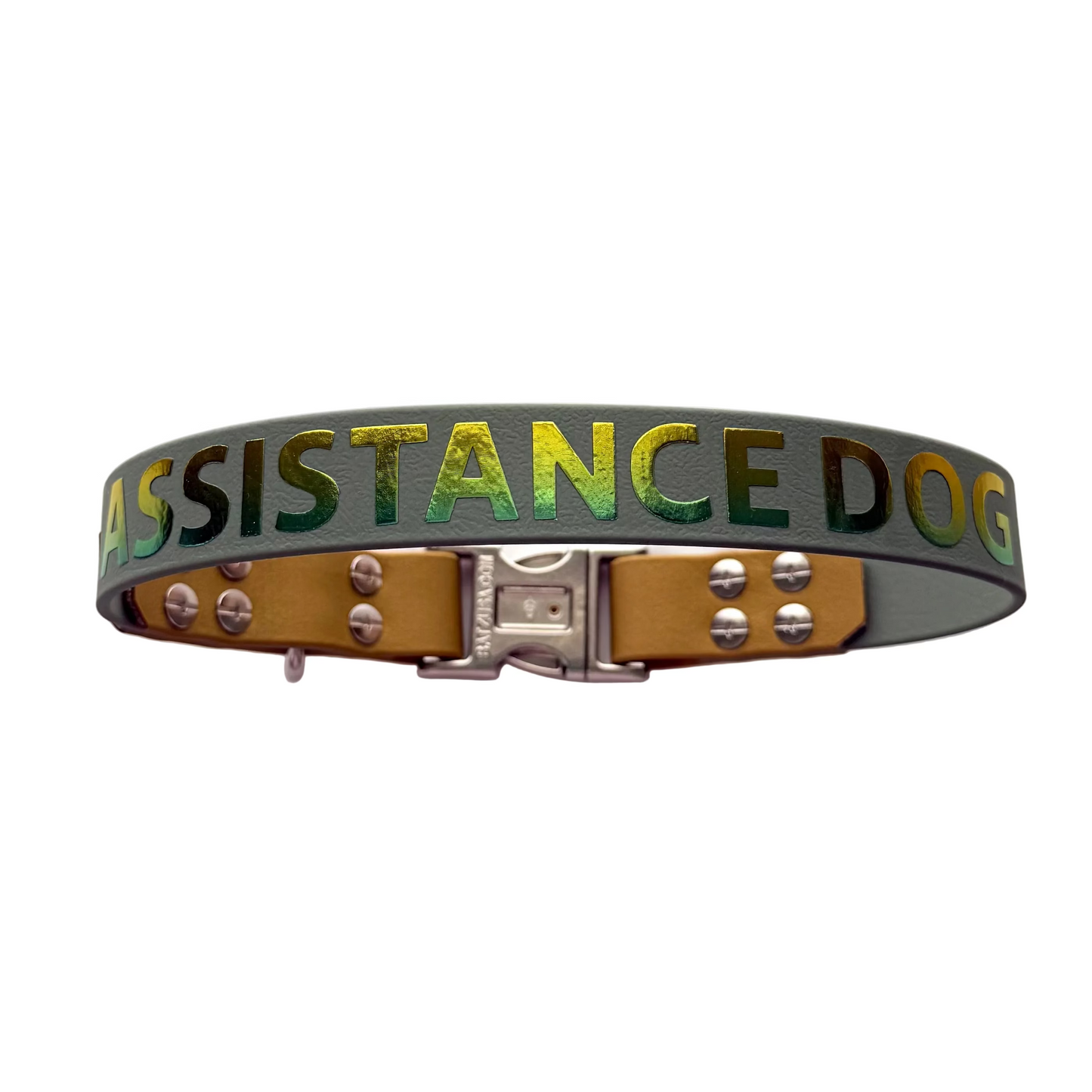 46cm - Assistance Dog Collar - Ready to Ship