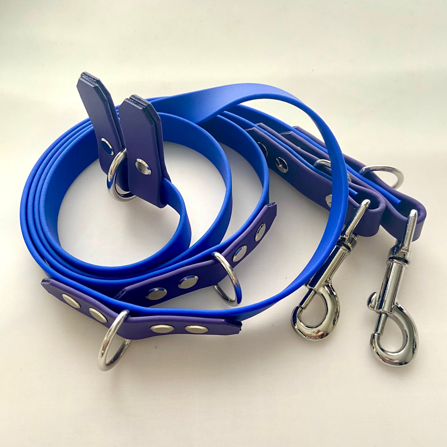 Biothane® Coated Webbing Hands Free Lead