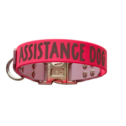 32cm - Assistance Dog Collar - Ready to Ship
