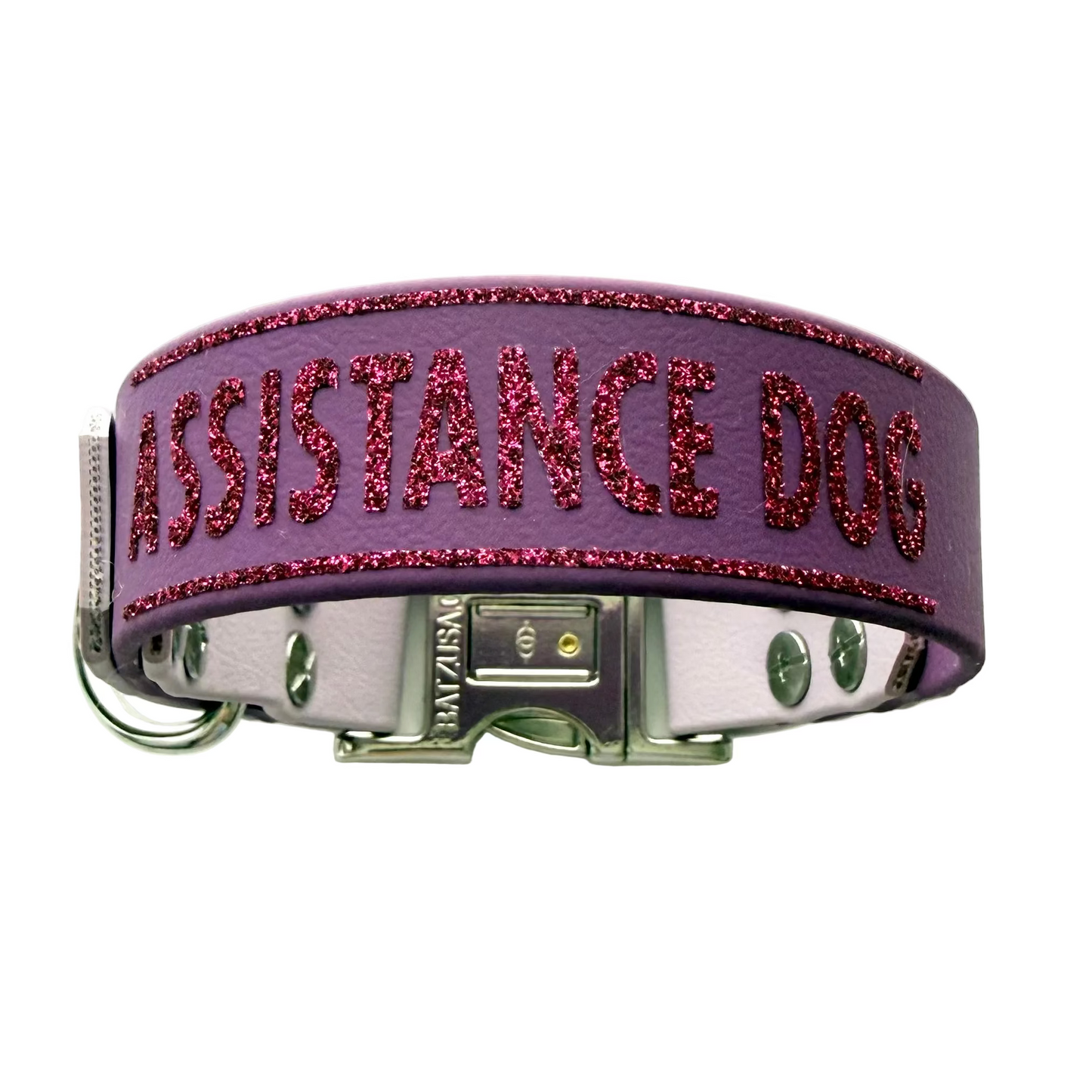 28cm - Assistance Dog Collar - Ready to Ship