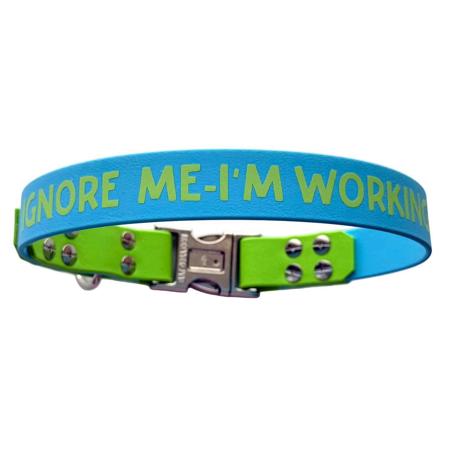 44cm - Ignore me - I'm Working - Assistance Dog Collar - Ready to Ship