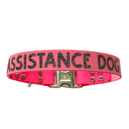 42cm - Assistance Dog Collar - Ready to Ship
