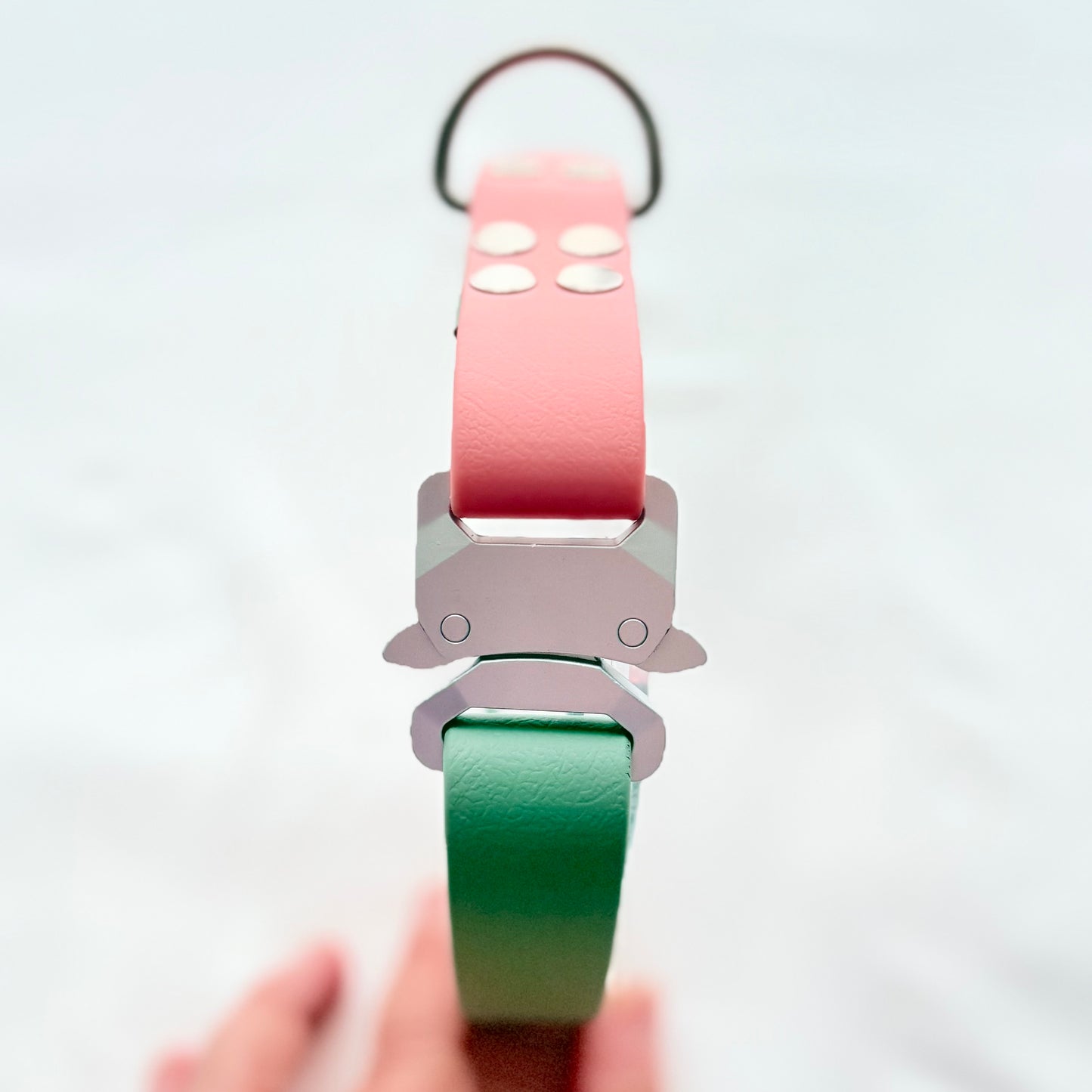 32cm - 49cm - Adjustable BioThane® Dog Collar - Ready to Ship