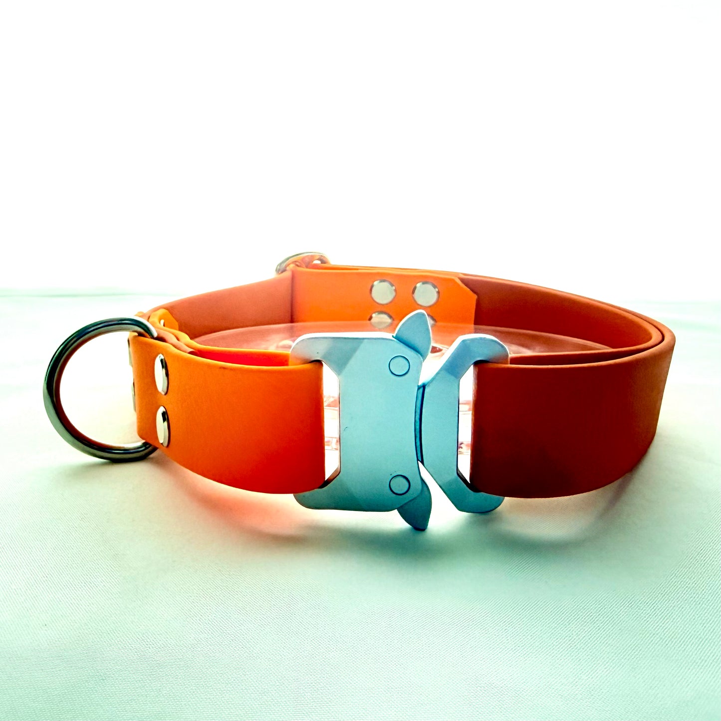 36cm - 57cm - Adjustable BioThane® Dog Collar - Ready to Ship