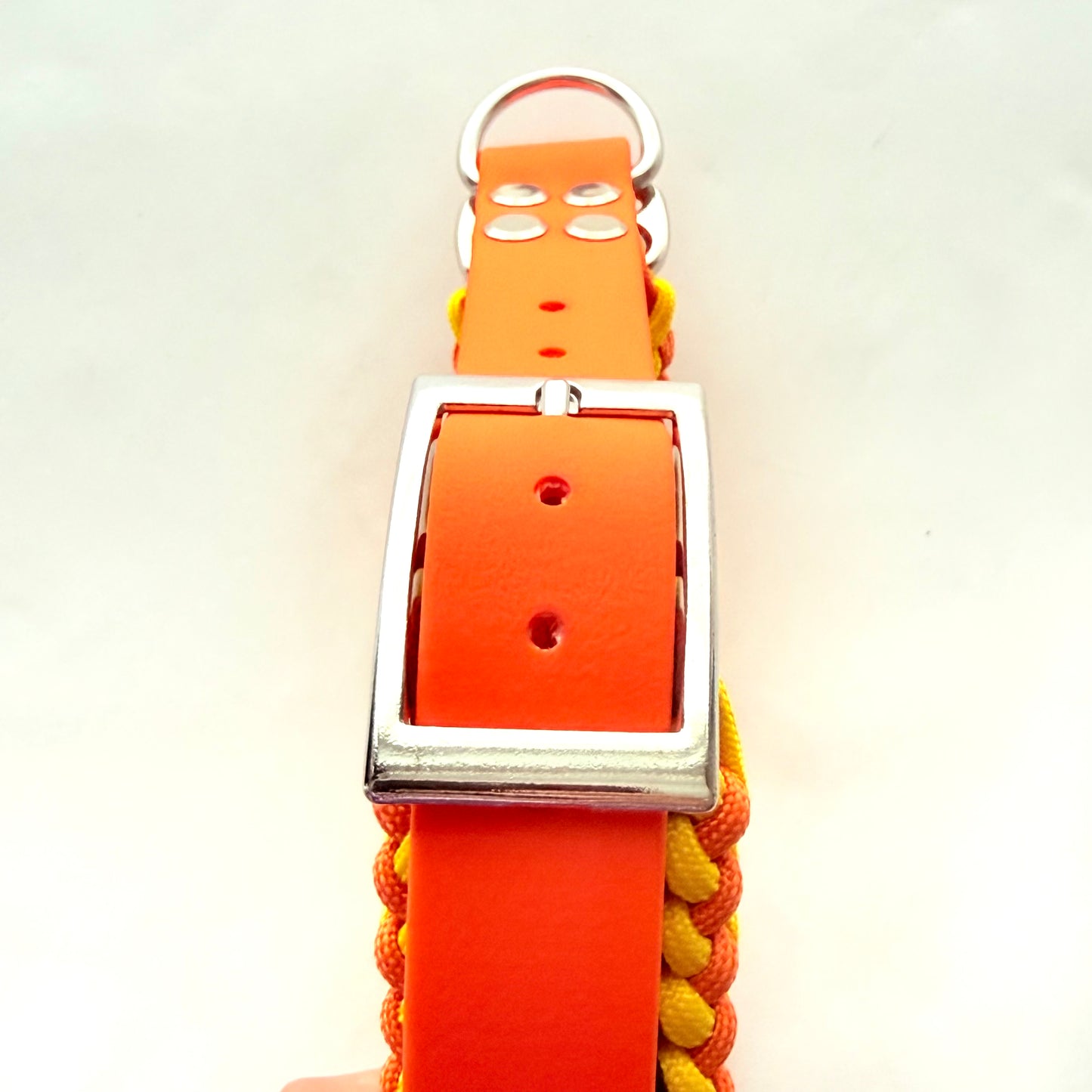 35cm - 45cm - Paracord Dog Collar - Ready to Ship