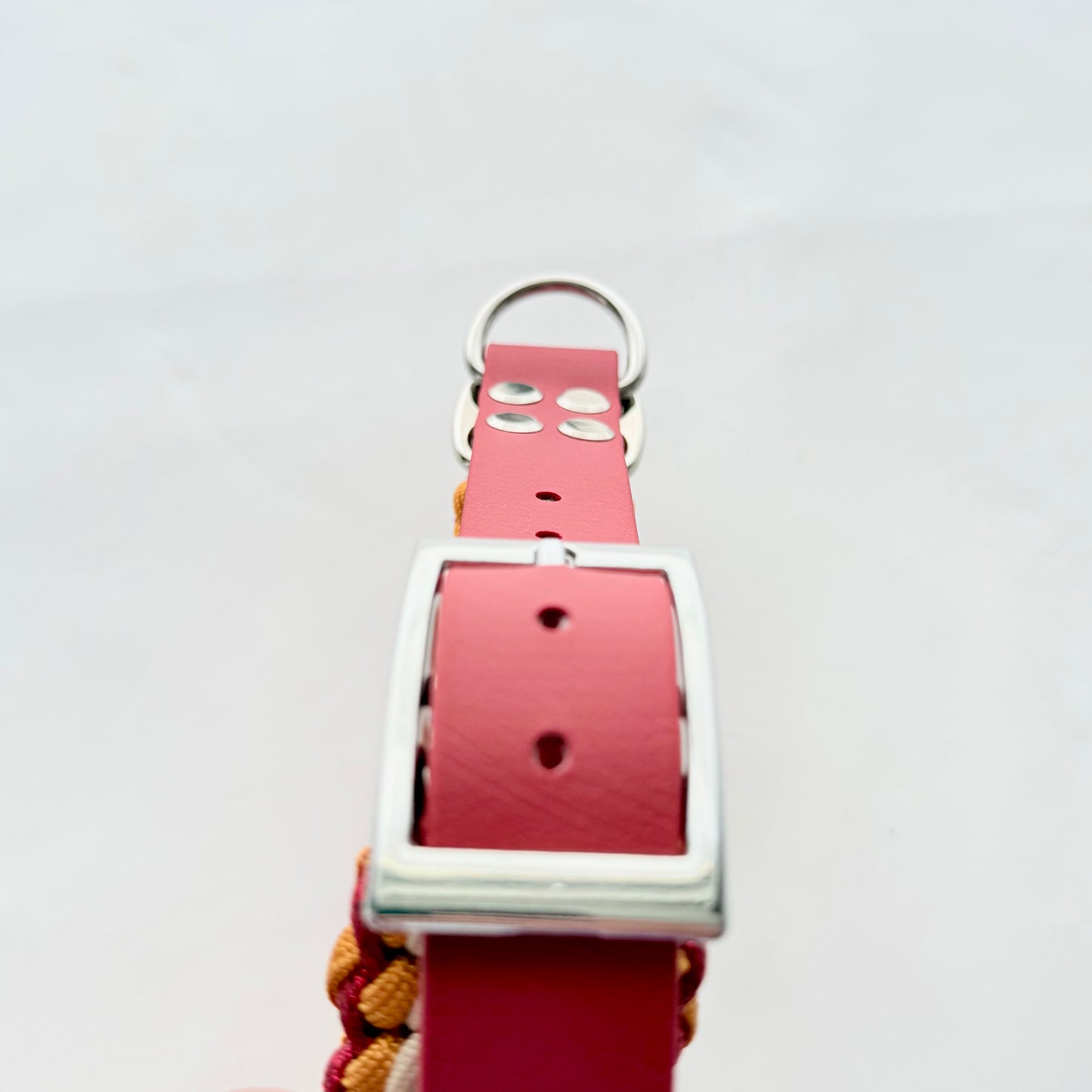 35cm - 45cm - Paracord Dog Collar - Ready to Ship