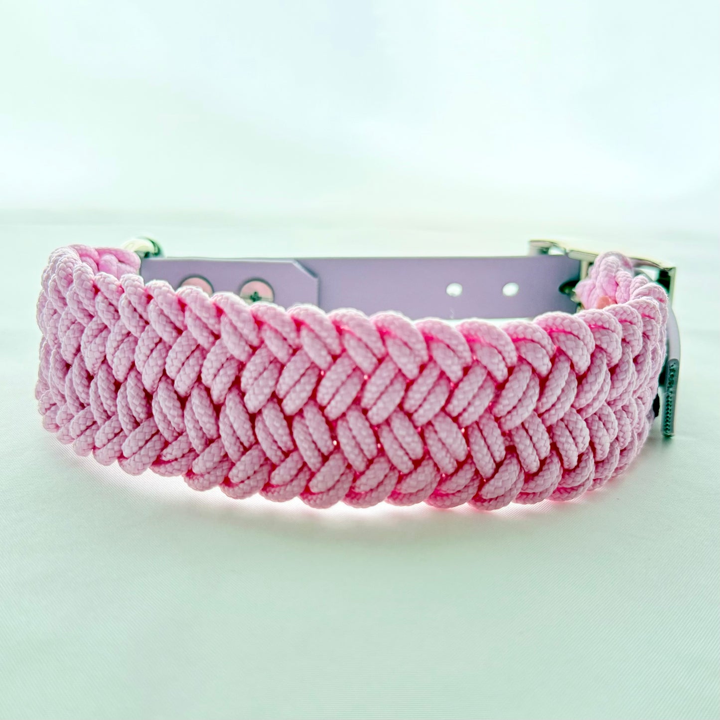 32.5cm - 38cm - Paracord Dog Collar - Ready to Ship