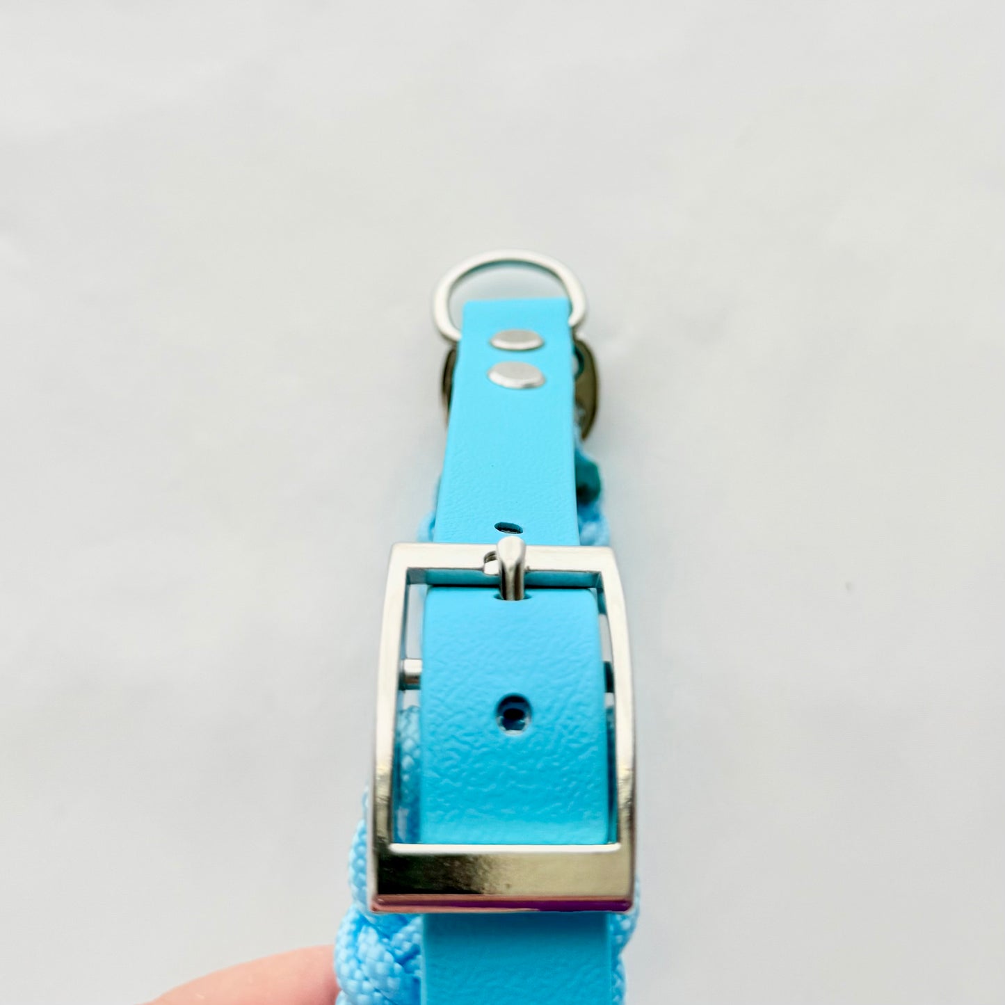 32.5cm - 38cm - Paracord Dog Collar - Ready to Ship