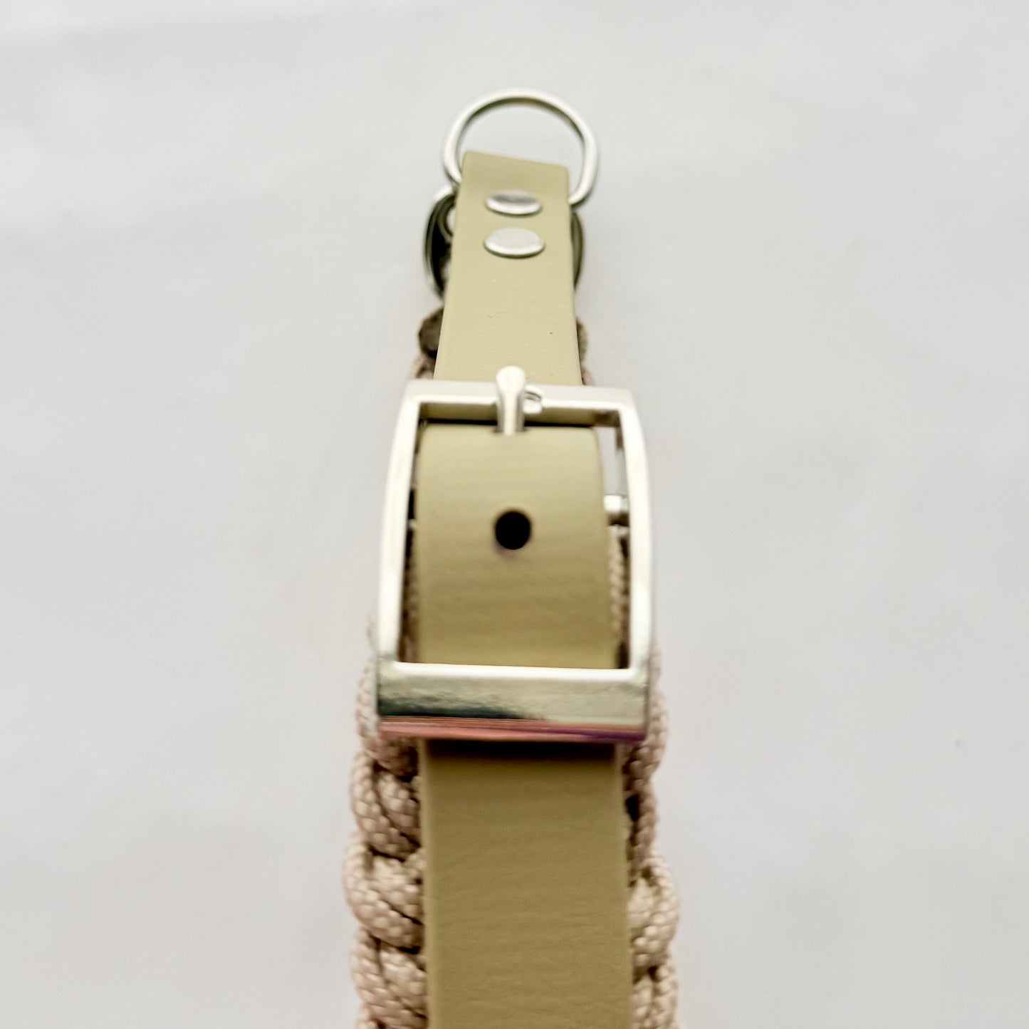 32.5cm - 38cm - Paracord Dog Collar - Ready to Ship