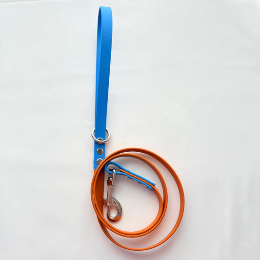 120cm BioThane® Coated Webbing Standard Dog Lead - Ready To Ship