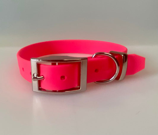 Neon BioThane® Coated Webbing Buckle Collar