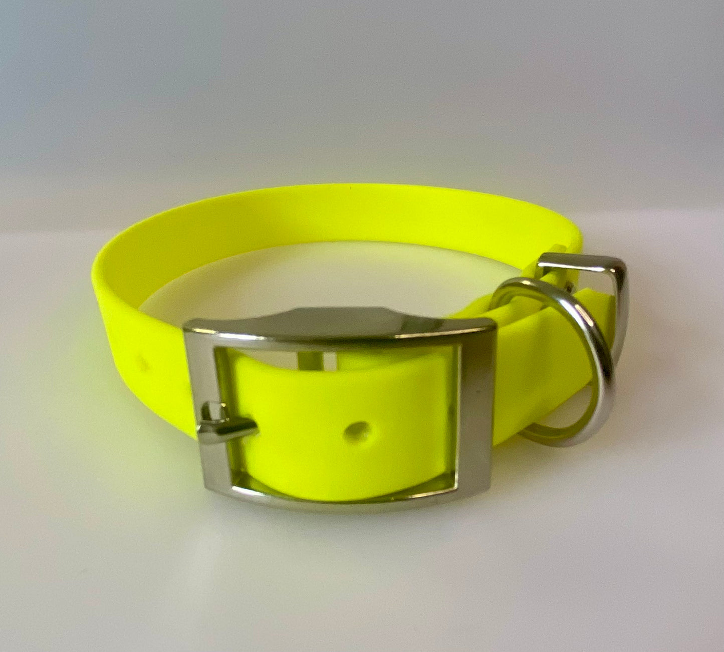 Neon BioThane® Coated Webbing Buckle Collar