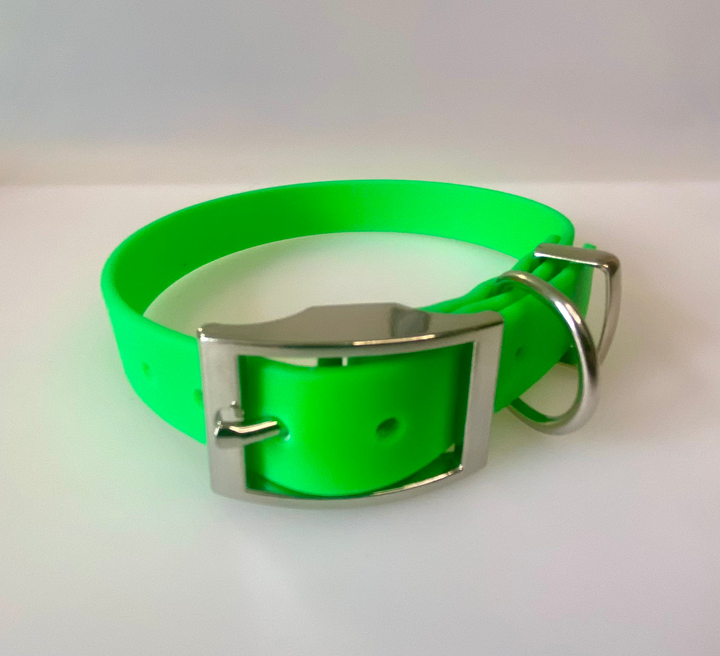 Neon BioThane® Coated Webbing Buckle Collar