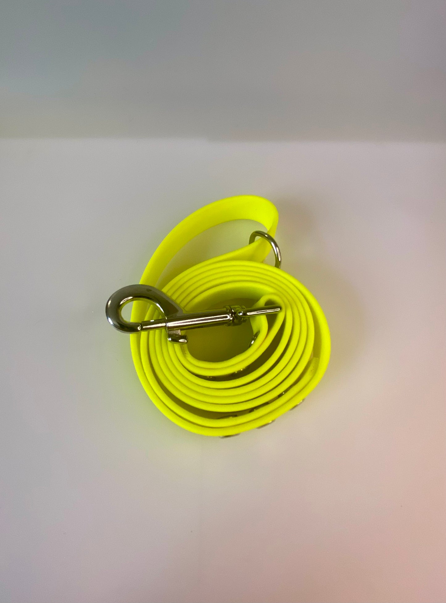 Neon BioThane® coated webbing Dog Lead