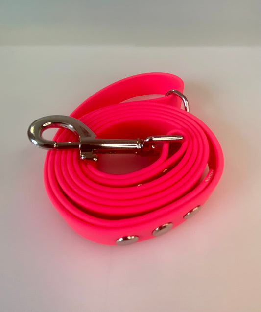 Neon BioThane® coated webbing Dog Lead