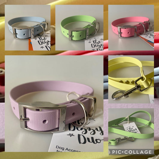 Pastel BioThane® Coated Webbing Buckle Collar