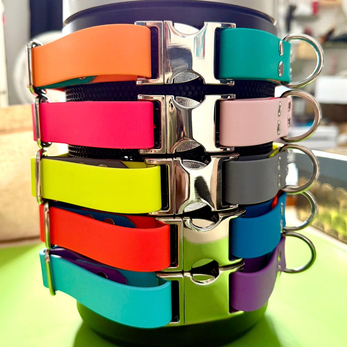 1" BioThane® Coated Webbing Adjustable Dog Collar