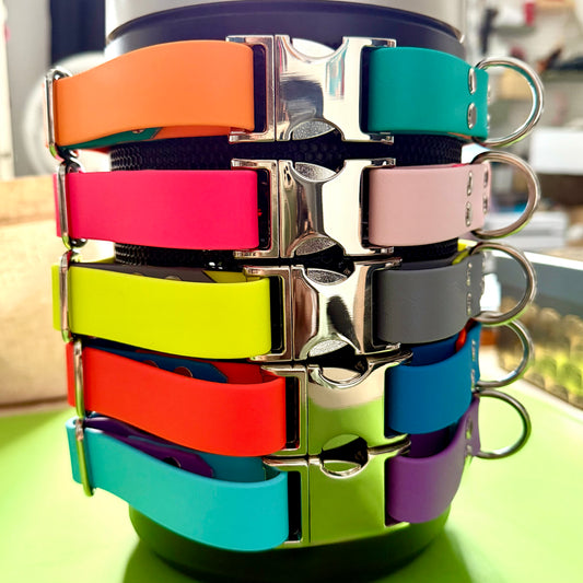 1" BioThane® Coated Webbing Adjustable Dog Collar